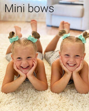 Load image into Gallery viewer, Petal Pink | Mini Piggies
